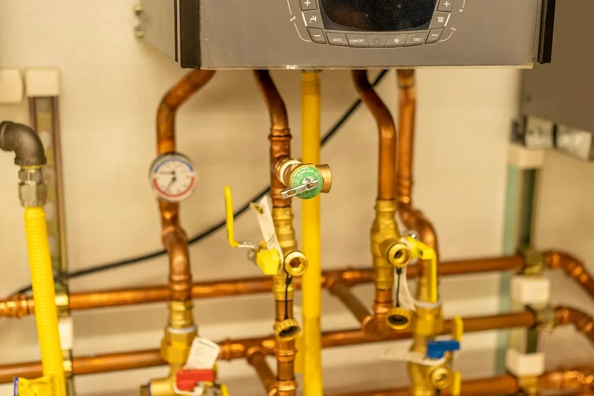 Licensed technician providing Emergency Plumbing for a homeowner in Forest Hills